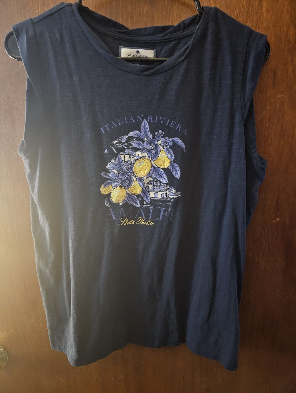 Women’s Blue Italian Riviera Amalfi Lemon Coastal Graphic Sleeveless Top – Small